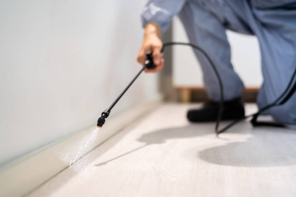 Licensed Pest Control service in Midwest City, OK - Show Me Pest Control