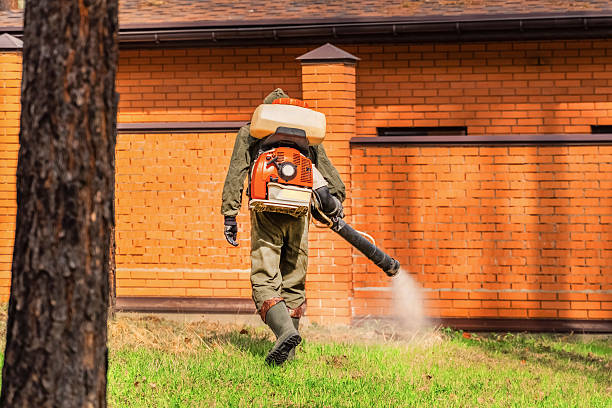 Top rated local Mosquito Control specialists in Midwest City, OK